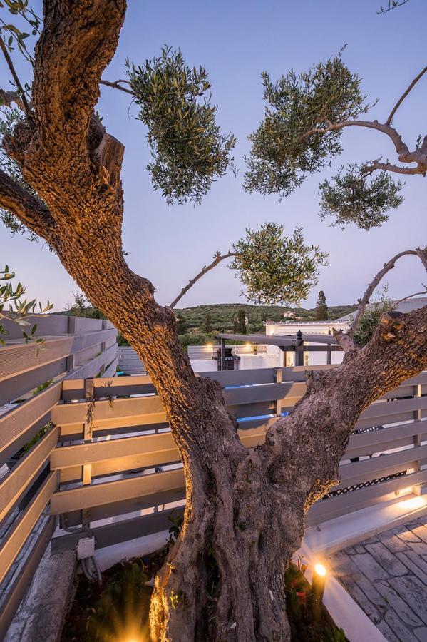B&M Villas Metochi Siriliou 외부 사진